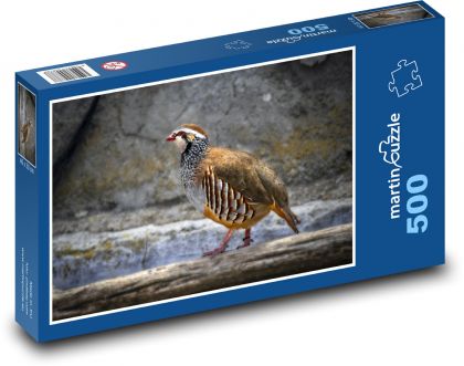 Kuropatwa - ptak, zwierzę - Puzzle 500 elementów, rozmiar 46x30 cm