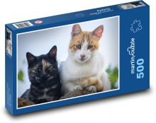 Kočky - domácí mazlíčci, roztomilá zvířata Puzzle 500 dílků - 46 x 30 cm