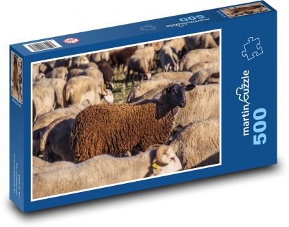 Sheep herd - livestock, cattle - Puzzle of 500 pieces, size 46x30 cm 