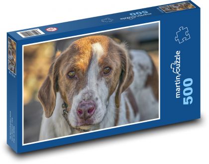Lovecký pes - zvíře, domácí mazlíček - Puzzle 500 dílků, rozměr 46x30 cm