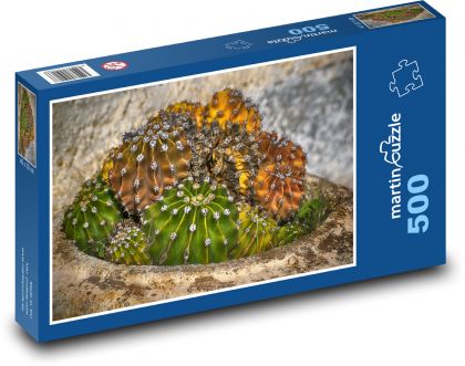 Kaktus - roślina, sukulent - Puzzle 500 elementów, rozmiar 46x30 cm