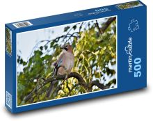Sojka - pták, zvíře Puzzle 500 - 46x30 cm
