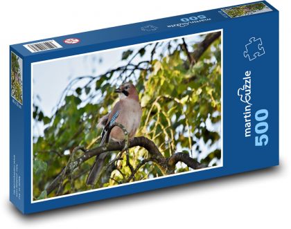 Sojka - pták, zvíře - Puzzle 500 dílků, rozměr 46x30 cm