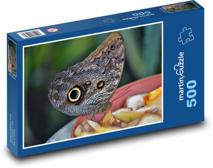 Schmetterling - Insekt, Entomologie - Puzzle - 500 Teile