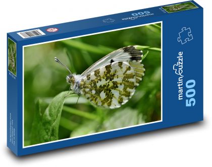 Motýl - hmyz, křídlo - Puzzle 500 dílků, rozměr 46x30 cm
