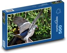 Pigeon - wings, bird Puzzle of 500 pieces - 46 x 30 cm