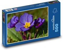 Petrkey - purple flower, plant Puzzle of 500 pieces - 46 x 30 cm 
