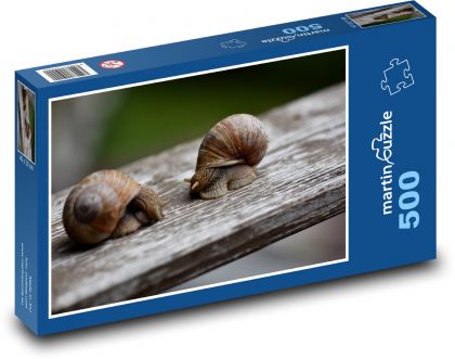 Schnecken - Schnecken, Weichtiere - Puzzle - 500 Teile