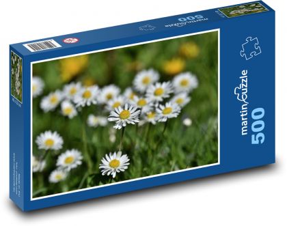 Gänseblümchen - Blume, Pflanze - Puzzle - 500 Teile