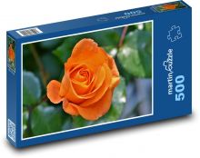 Oranžová růže - okvětní lístky, květ Puzzle 500 - 46x30 cm