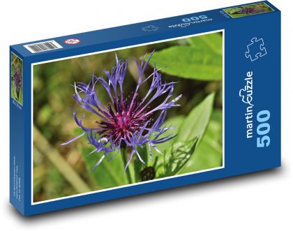 Kornblume - Blume, Pflanze - Puzzle - 500 Teile