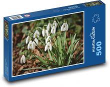 Bílé sněženky - jarní květiny, rostlina Puzzle 500 dílků - 46 x 30 cm