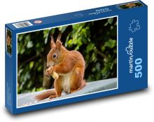 Tier, Nagetier - Eichhörnchen Puzzle 500 Teile - 46 x 30 cm