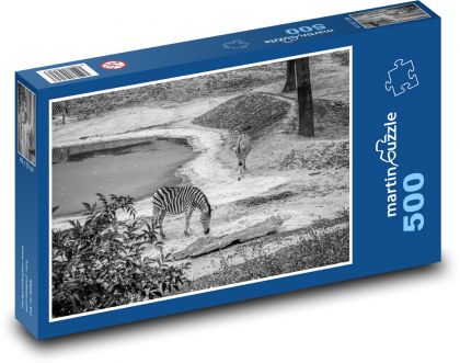 Zebry - Afrika, safari - Puzzle 500 dílků, rozměr 46x30 cm