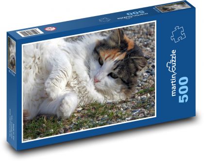 Hravá kočka - domácí mazlíček, zvíře - Puzzle 500 dílků, rozměr 46x30 cm
