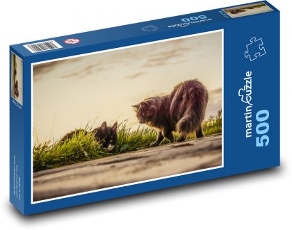 Koty - zachód słońca, zwierzęta - Puzzle 500 elementów, rozmiar 46x30 cm
