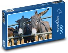 Osli - zvířata, farma Puzzle 500 - 46x30 cm
