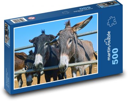 Osli - zvířata, farma - Puzzle 500 dílků, rozměr 46x30 cm