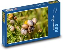 Šneci - měkkýši, příroda Puzzle 500 dílků - 46 x 30 cm