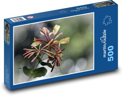 Zimolez - kvetina, rastlina - Puzzle 500 dielikov, rozmer 46x30 cm 