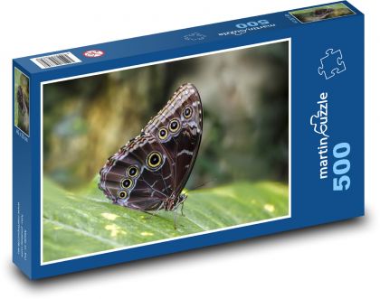Motýl - křídla, entomologie - Puzzle 500 dílků, rozměr 46x30 cm