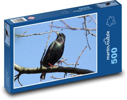 Špaček - pták, větev - Puzzle 500 dílků, rozměr 46x30 cm