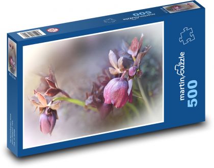 Hellebore - spring, plant - Puzzle of 500 pieces, size 46x30 cm 