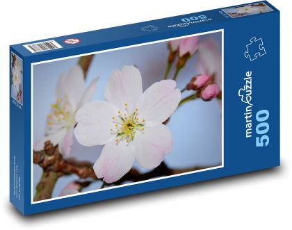 Flower - nature, spring - Puzzle of 500 pieces, size 46x30 cm 