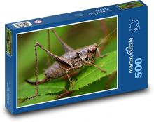 Locusts - insects, nature Puzzle of 500 pieces - 46 x 30 cm