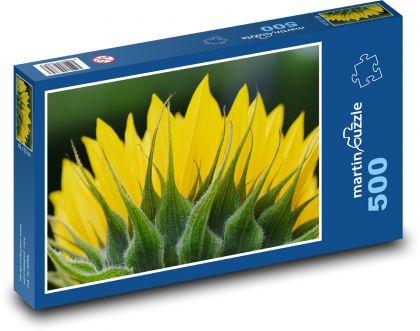 Slunečnice - květ, rostlina - Puzzle 500 dílků, rozměr 46x30 cm