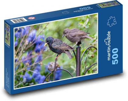 Junger Star - Vogel, Tier - Puzzle - 500 Teile