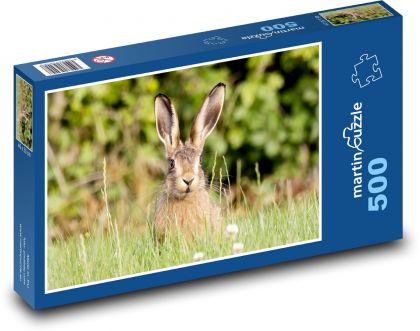 Hase im Gras - Ohren, Tier - Puzzle - 500 Teile