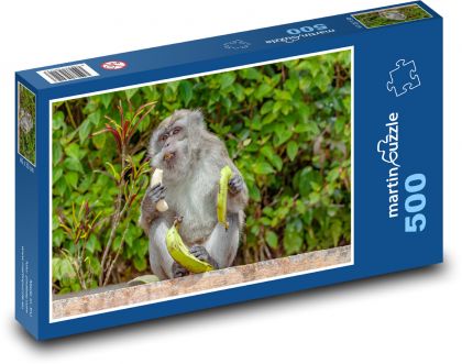 Opice s banánmi - makak, jesť - Puzzle 500 dielikov, rozmer 46x30 cm 