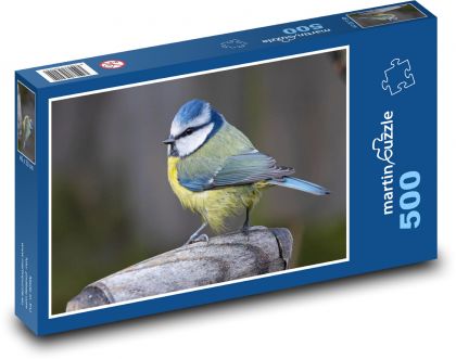 Modraszka - ptak, pióra - Puzzle 500 elementów, rozmiar 46x30 cm