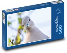 Obojkový holub - holubice, pták Puzzle 500 dílků - 46 x 30 cm