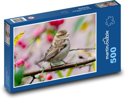 Vrabec polní - zpěvný pták, zvíře - puzzle 500 dílků