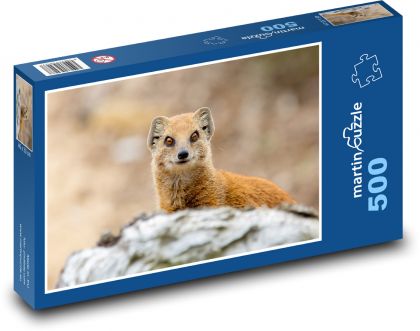 Mangusta - predator, Africa - Puzzle of 500 pieces, size 46x30 cm 