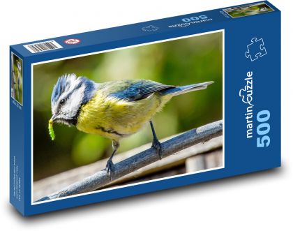 Sýkorka modřinka - pták, peří - Puzzle 500 dílků, rozměr 46x30 cm