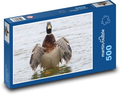 Káčer - divoká kačica, vodný vták - Puzzle 500 dielikov, rozmer 46x30 cm 