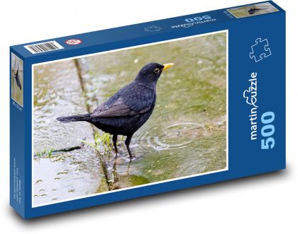 Kos v louži - pták, zvíře  - Puzzle 500 dílků, rozměr 46x30 cm
