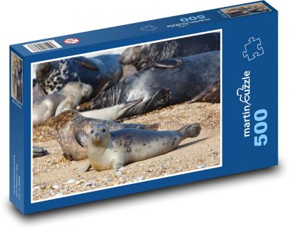 Tuleň - mládě, zvíře - puzzle 500 dílků