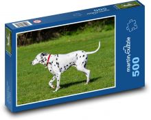 Dalmatin - pes, domácí zvíře Puzzle 500 dílků - 46 x 30 cm