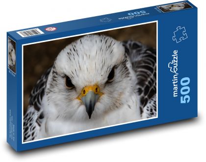 Sokol - mammal, bird - Puzzle of 500 pieces, size 46x30 cm 