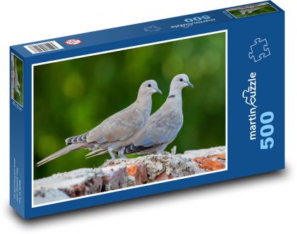 Gołąb - ptaki, zwierzęta - Puzzle 500 elementów, rozmiar 46x30 cm