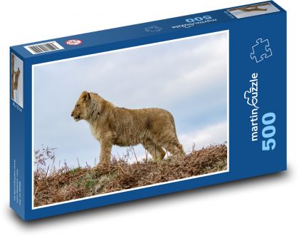 Lvíče - mládě, lev - Puzzle 500 dílků, rozměr 46x30 cm