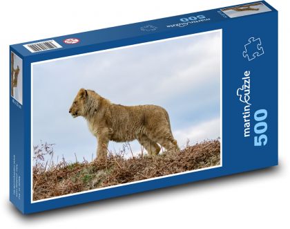 Lion - cub, lion - Puzzle of 500 pieces, size 46x30 cm 