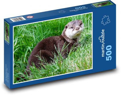 Otter - grass, animal - Puzzle of 500 pieces, size 46x30 cm 