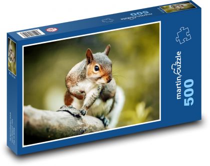Squirrel - rodent, animal - Puzzle of 500 pieces, size 46x30 cm 