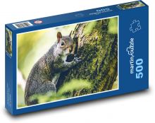 Veverička - zviera, les Puzzle 500 dielikov - 46 x 30 cm 