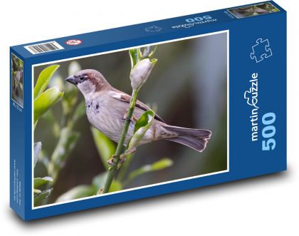 Vrabec na větvi - pták, větev - puzzle 500 dílků